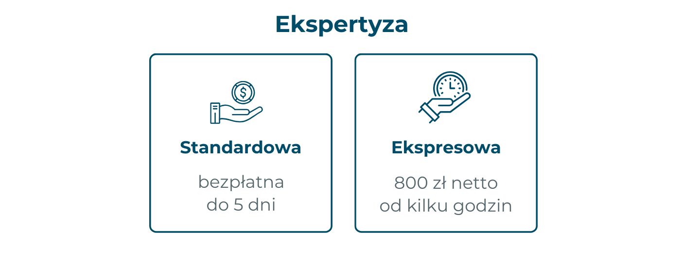 Ekspertyza standardowa i ekspresowa odzyskiwania danych